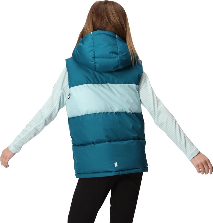 Produktbild Regatta Lofthouse Weste (104)