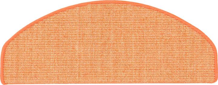 Immagine prodotto Pergamon Natur Sisal Stufenmatten 15er-Set (18 x 56 cm)