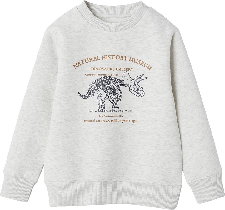 Actual product image Vertbaudet Boys' sweatshirt with print, recycled polyester Basic (158)