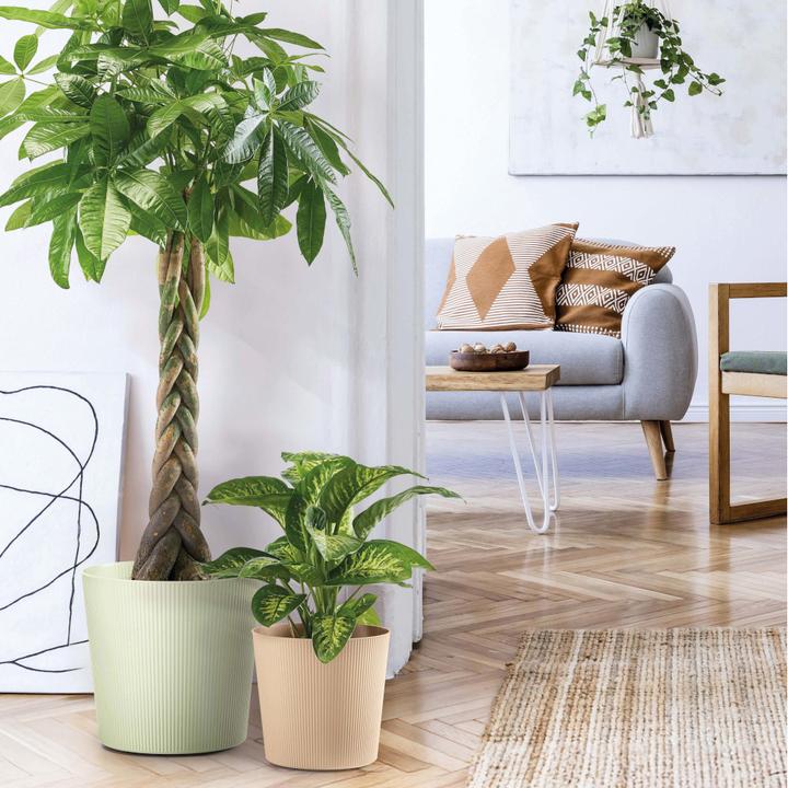 Produktbild Euro3plast Blumentopf Fyre Ø 40 cm oasi Greener, mit Rollen