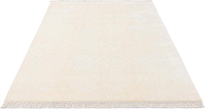 Image du produit Vidal Darya-Indian (150 x 211 cm)