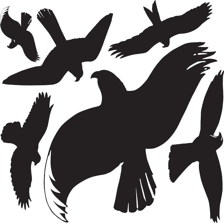 Produktbild Z-Design Fensterbild Warnung Vögel
