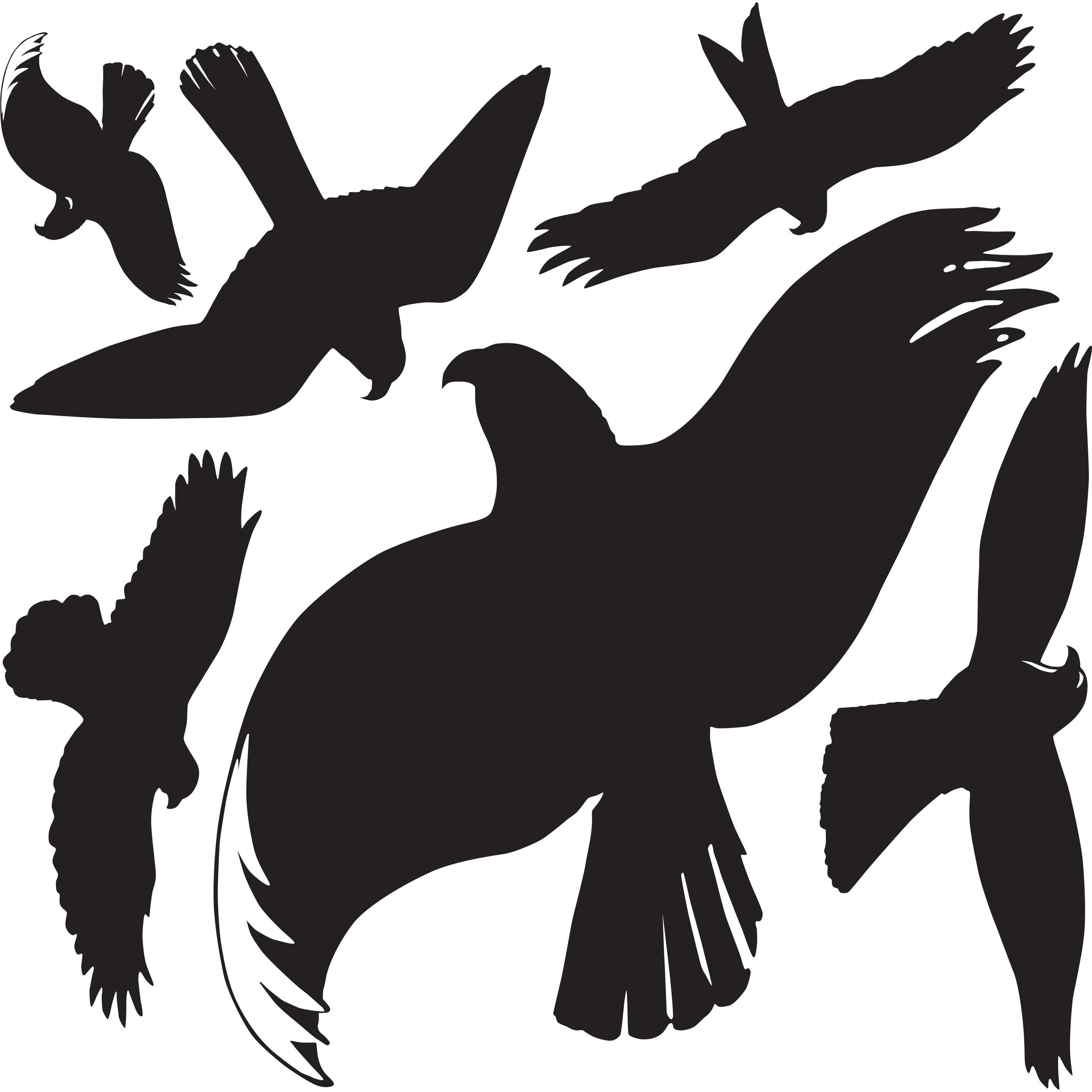 Thumbnail - Z-Design, Sticker, Fensterbild Warnung Vögel