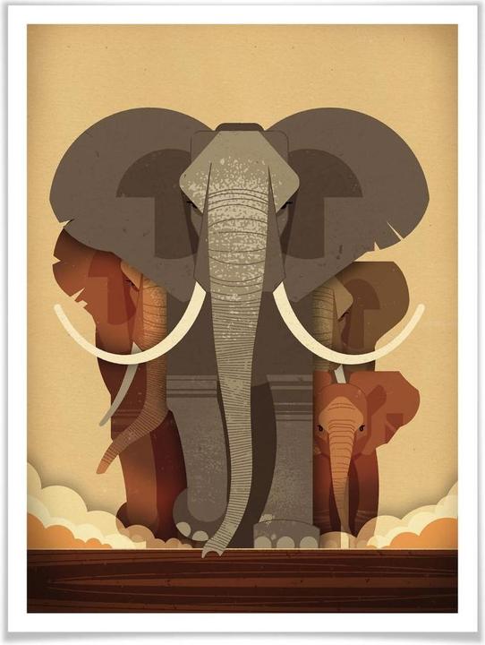 Produktbild Trenddeko Elephants (60 x 80 cm)