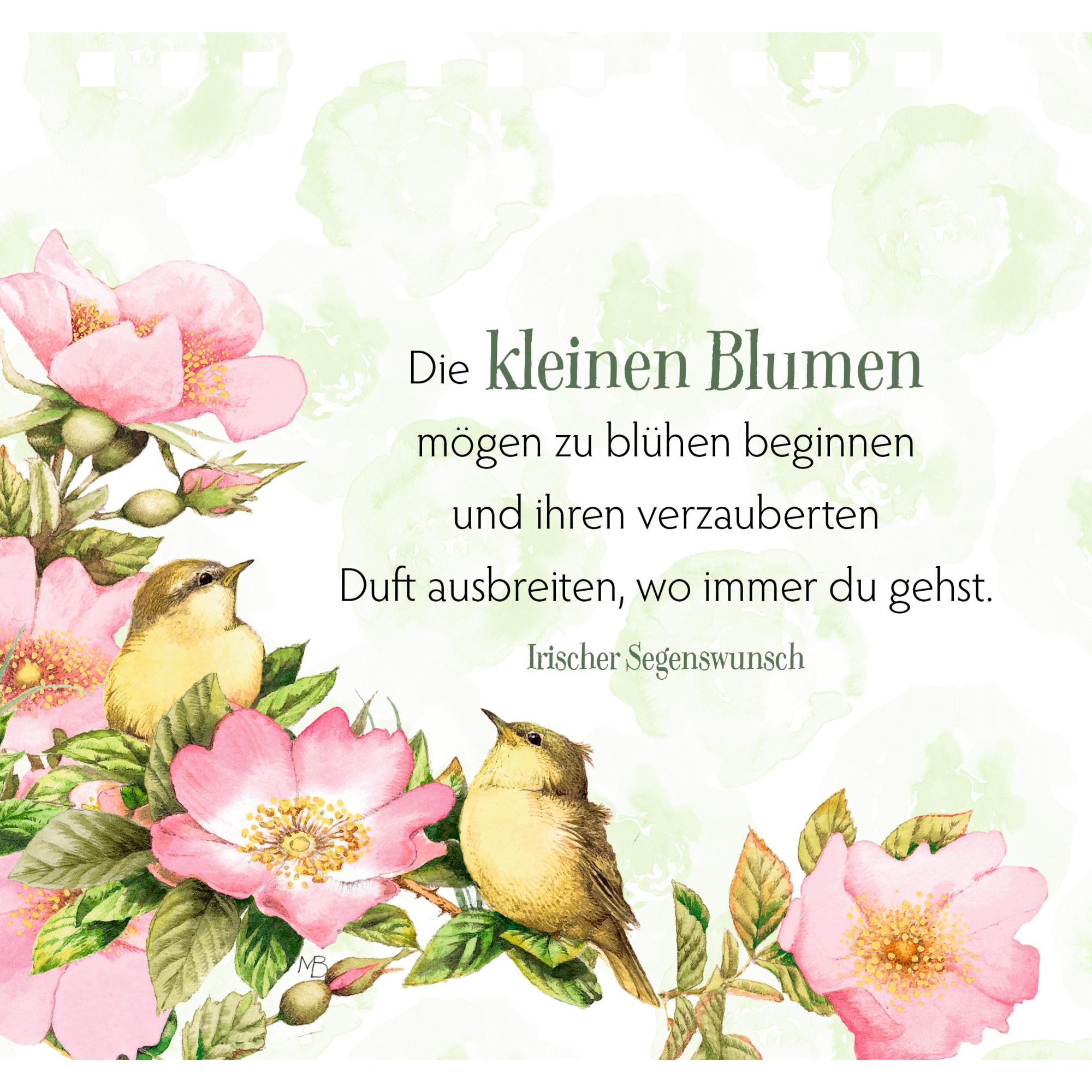 Zauberhafte Momente für jeden Tag, Belletristik von Marjolein Bastin
