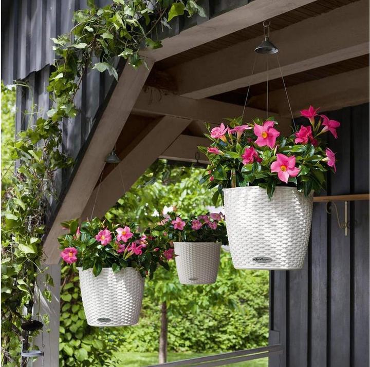 Image du produit Lechuza Nagendra (35 x 23 cm)