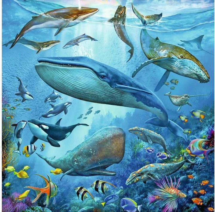 Actual product image Ravensburger marine life (49 pieces)