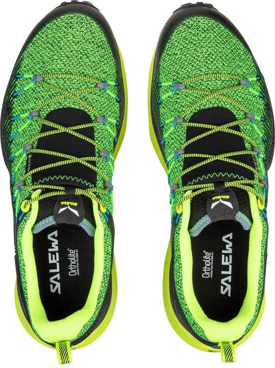 Produktbild Salewa Dropline GTX Schuhe (46)