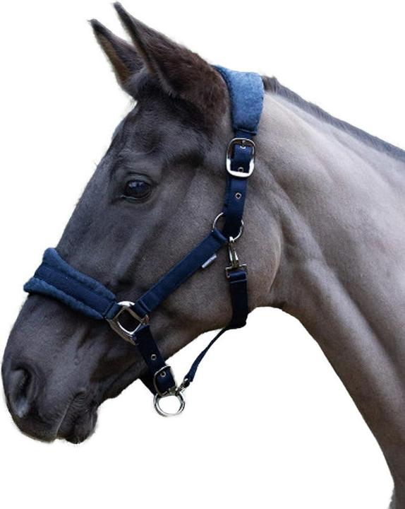 Produktbild Hy Pferdehalfter ProReaction