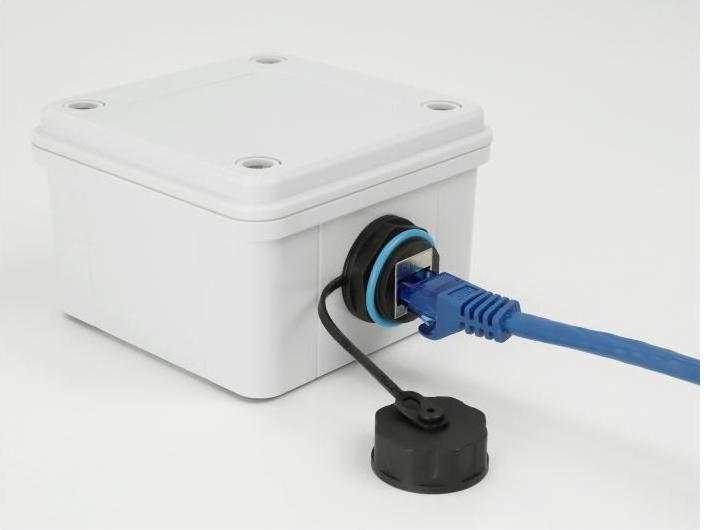 Actual product image Delock Coupling (Network coupling)