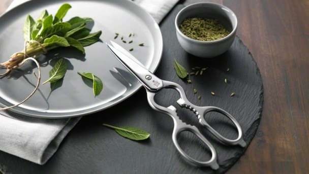 Actual product image Zwilling Multi-purpose shears (20 cm)