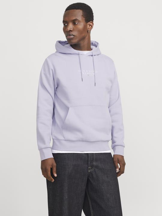 Produktbild Jack & Jones Logo Kapuzenpullover Kapuzenpullover (S)
