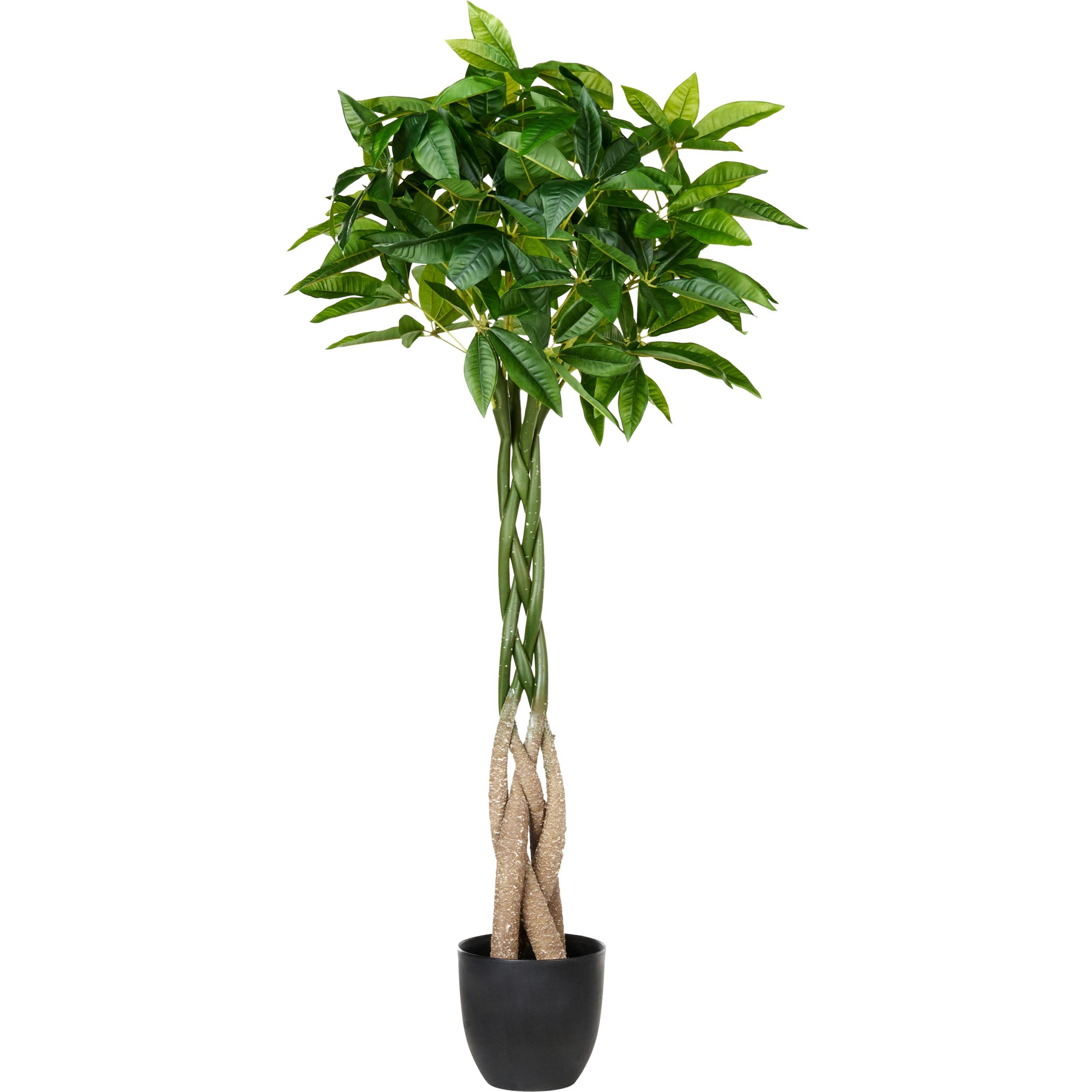 Beliani, Kunstpflanzen, Pachira Tree (120 cm)