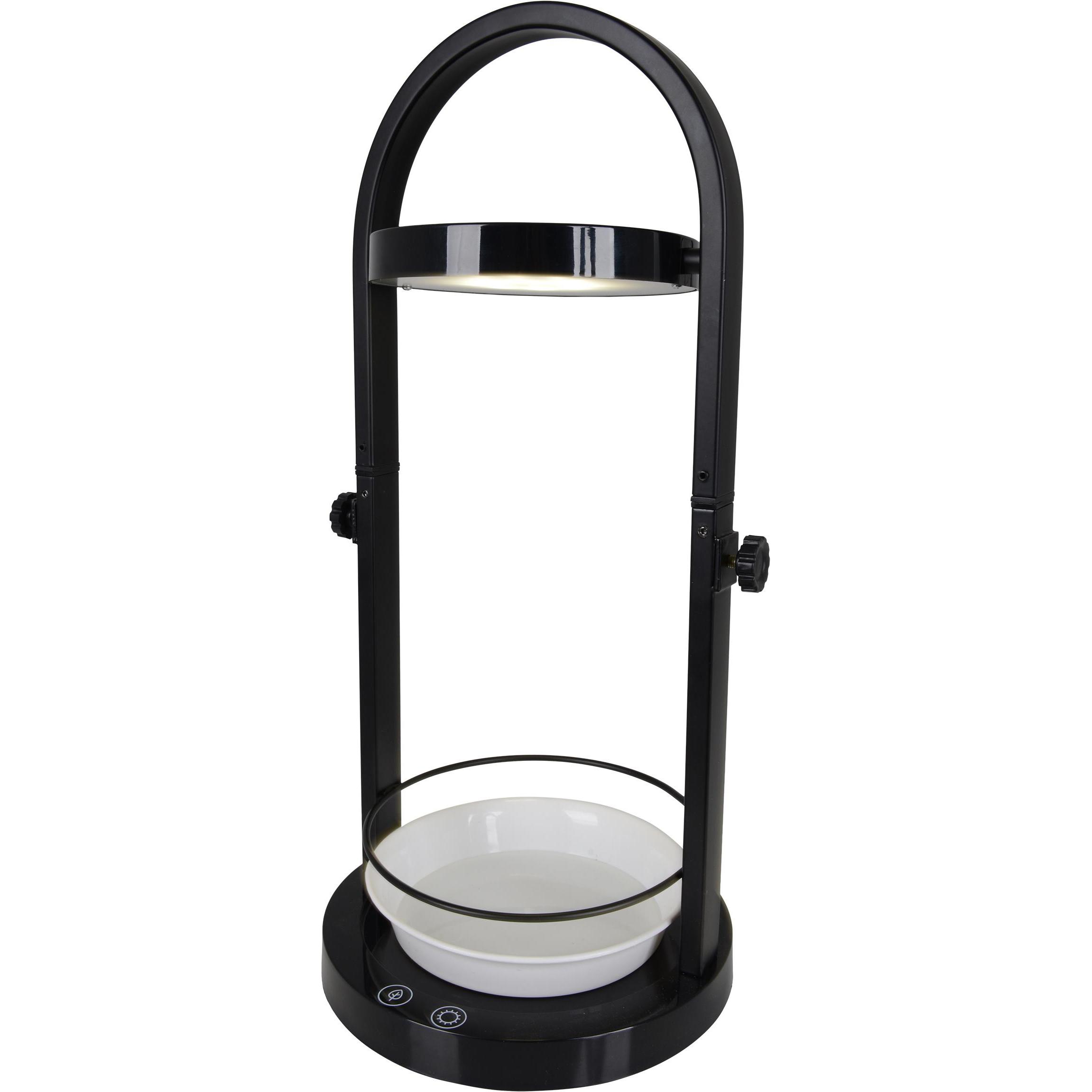 Näve, Tischlampe, LED Pflanzenleuchte