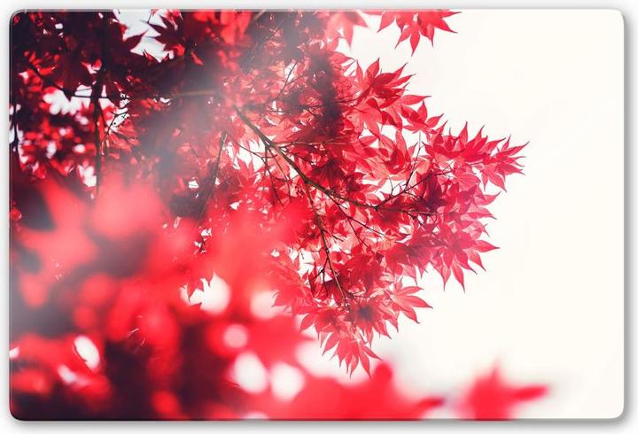 Produktbild Trenddeko Ahornbaum im Herbst (60 x 40 cm)