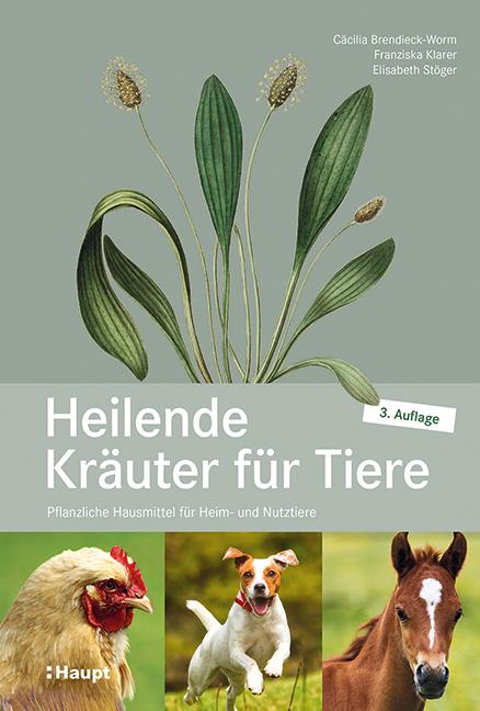 Immagine prodotto Heilende Kräuter für Tiere (Tedesco, Cäcilia Brendieck-Worm, Elisabeth Stöger, Franziska Klarer, 2021)