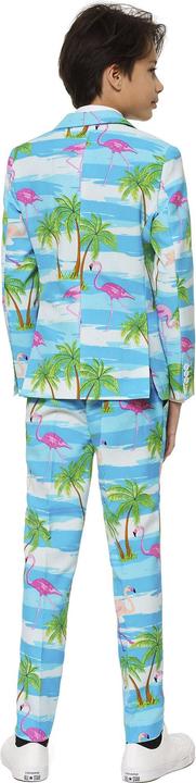Produktbild OppoSuits Teen Flaminguy (146, 152)