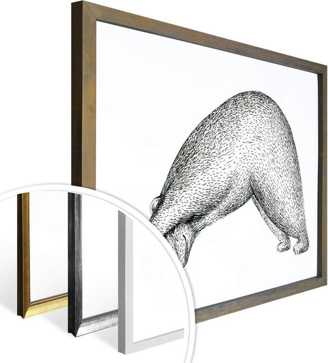 Image du produit Trenddeko Yoga Ours 01 (50 x 40 cm)