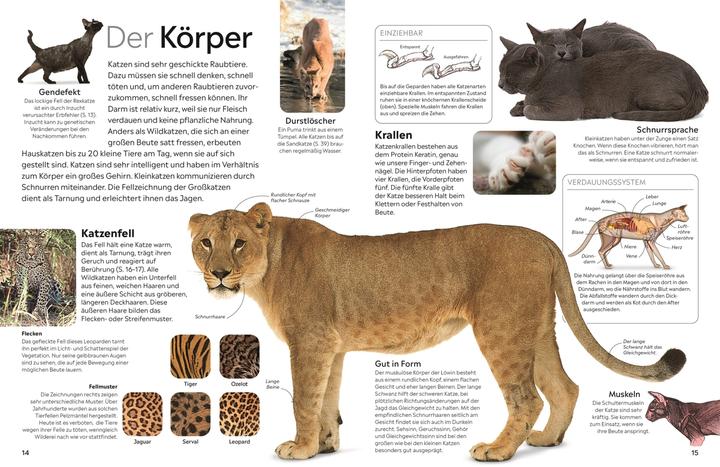 Actual product image memo Wissen. Katzen (German, DK Verlag - Kids, Juliet Clutton-Brock, Susanne Schmidt-Wussow, 2024)