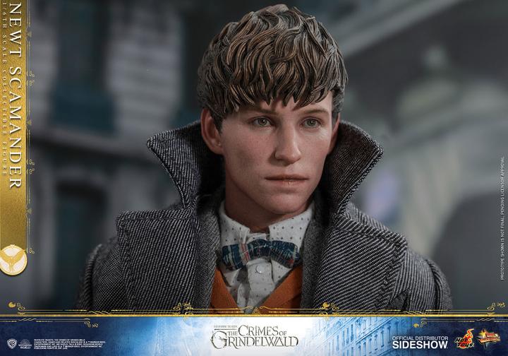 Actual product image Hot Toys Fantastic Beasts 2 "Newt Scamander" 1/6 Scale Figure