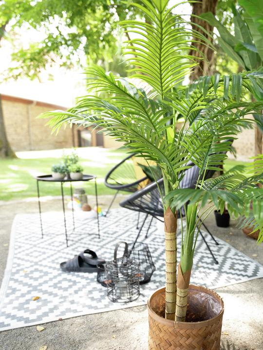 Produktbild Europalms Areca Palme (120 cm)