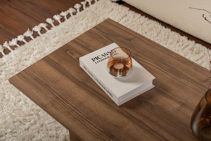 Image du produit Skye Decor Sabin Coffee Table