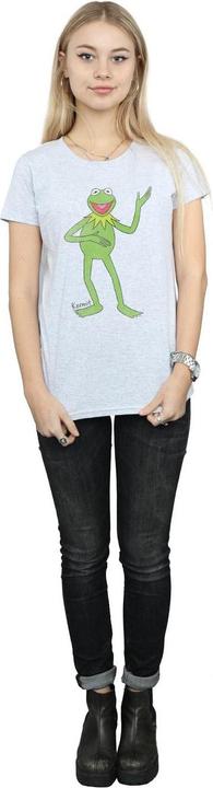 Produktbild Gildan Womens/Ladies Classic Kermit Heather T-Shirt (XL)