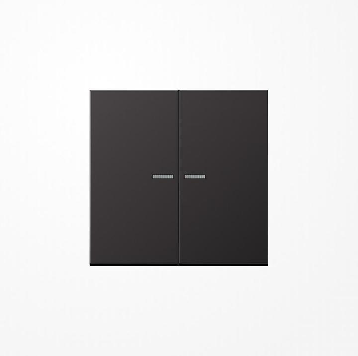 Actual product image JUNG BTAL17102D HOME push-button 2gang