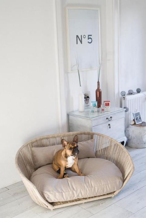 Produktbild Laboni Design Prado (Hund)