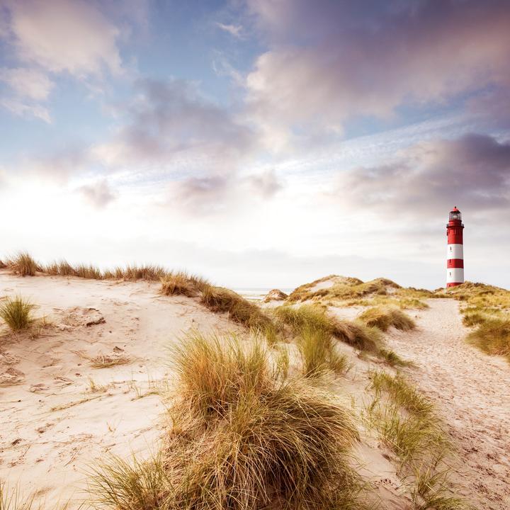 Produktbild Nordsee/Northern Sea 2026 (30 x 30 cm, Weicher Einband, Deutsch, Spanisch, Französisch, Tschechisch, Polnisch, Niederländisch, Italienisch, Englisch)