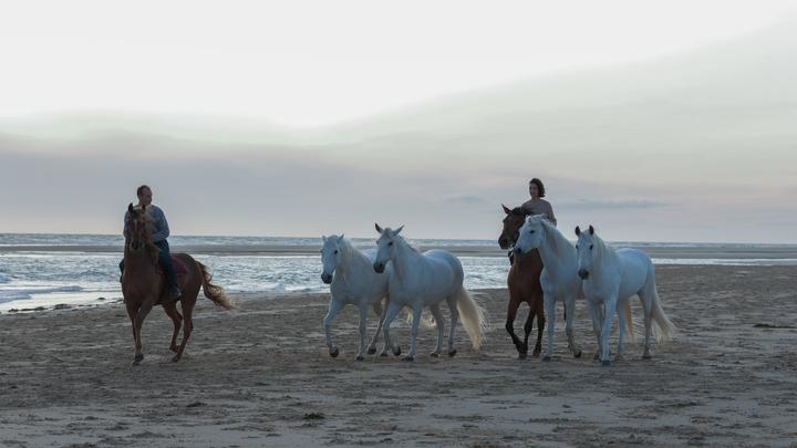 Produktbild Zoe & Sturm (DVD, 2020, Deutsch)