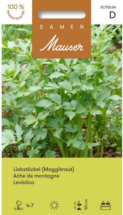 Image du produit Samen Mauser Liebstöckel (Graines d'herbes aromatiques)