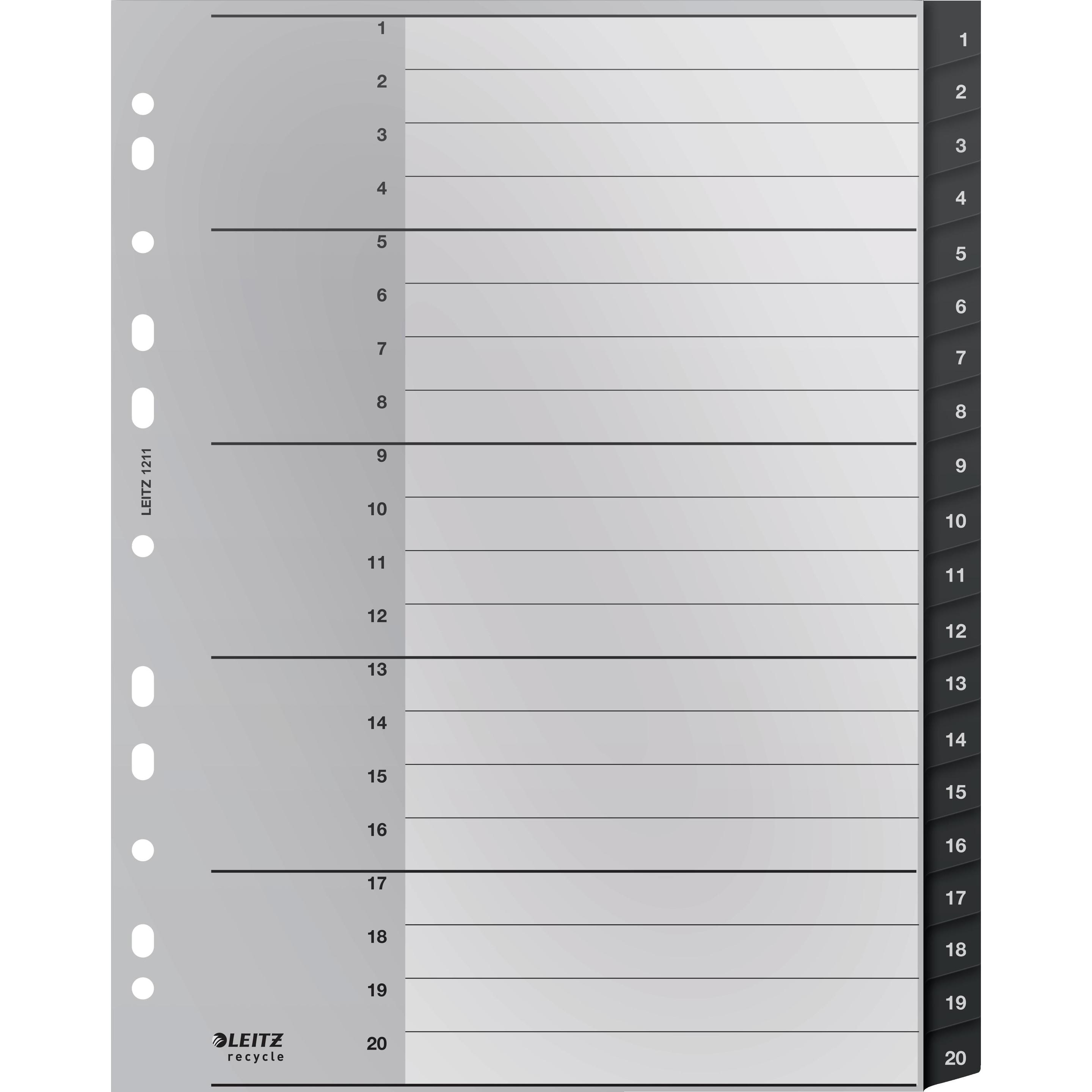 Leitz, Ordner Zubehör, Register Recycle 1-20