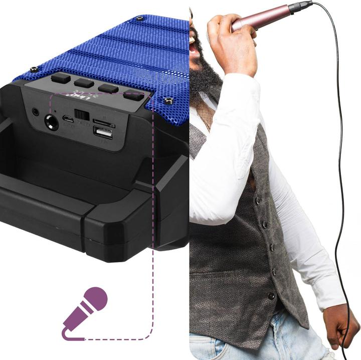 Immagine prodotto LinQ Connettore per microfono da 6,35 mm, lettore di schede Micro-SD (3 h)