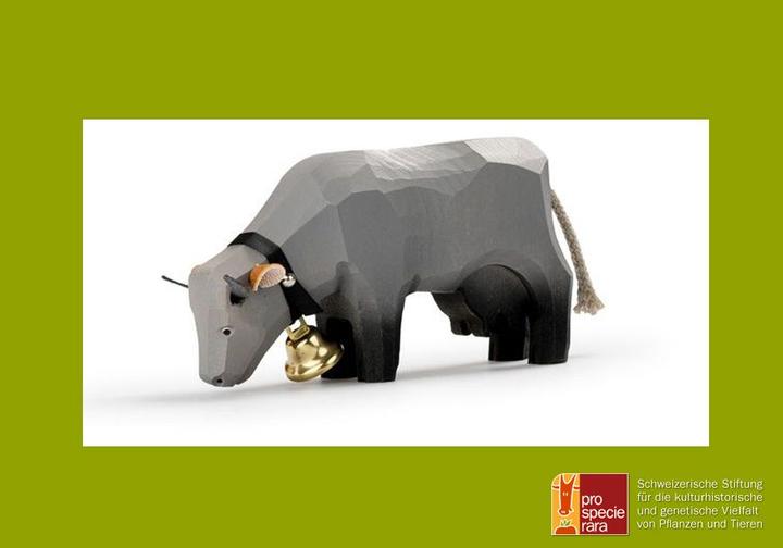 Actual product image Trauffer Rhaetian Grey Cattle