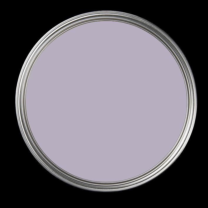 Lavender 083