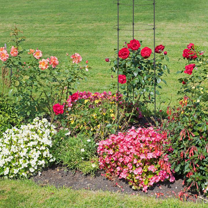 Image du produit Relaxdays 2x support pour plantes grimpantes (30 cm, 30 cm)