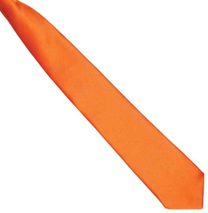 Image du produit Premier Cravate en satin à clipser