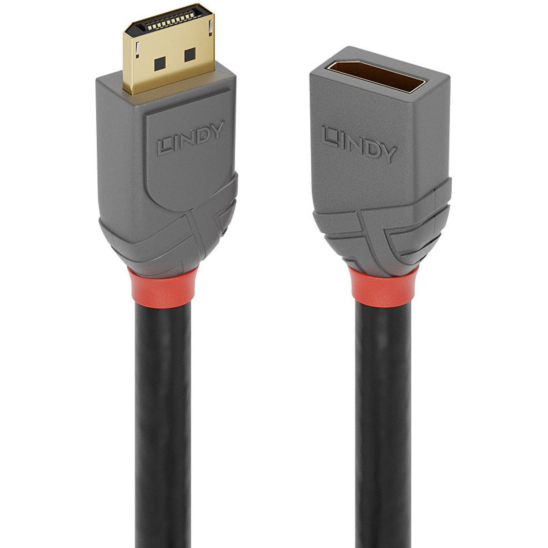 Lindy DisplayPort — DisplayPort (0.50 m, DisplayPort), Video Kabel