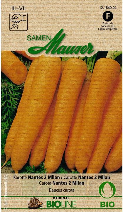 Légumes