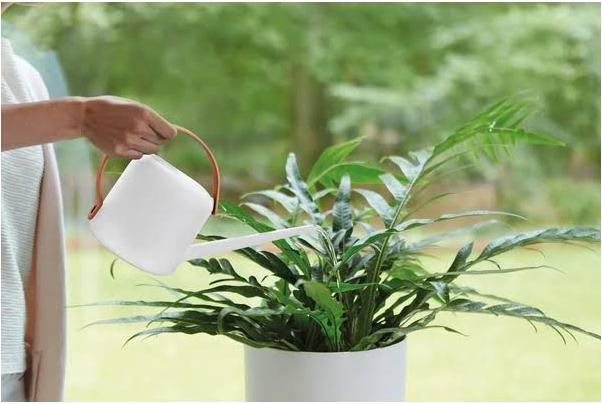 Actual product image Elho B. For Soft (1.70 l)