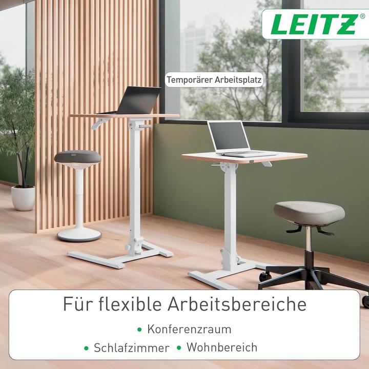 Immagine prodotto Leitz Workstation Ergo (65 x 46 x 109 cm)