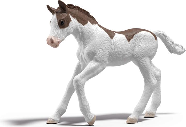Produktbild Schleich Sammelfohlen Dipper