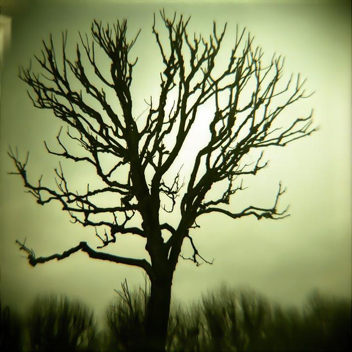 Actual product image Lomo Diana F+ Black Jack