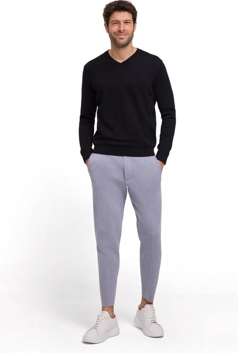 Actual product image Falke FAV Cotton V-Neck m (XL)