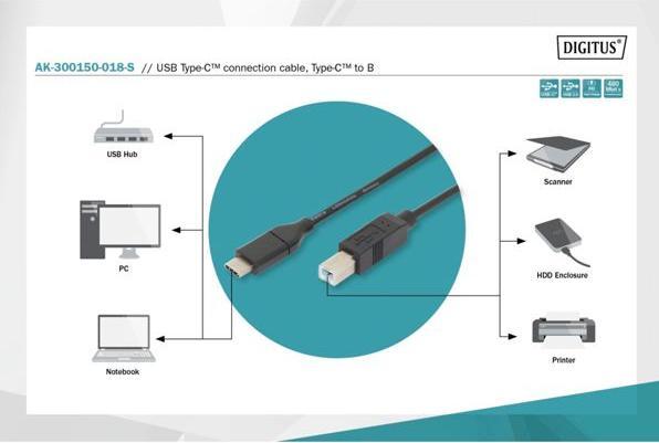 Image du produit Digitus USB C – USB B (1.80 m, USB 2.0)