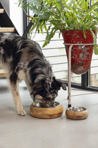 Produktbild Designed by Lotte Mandira (130 cl)