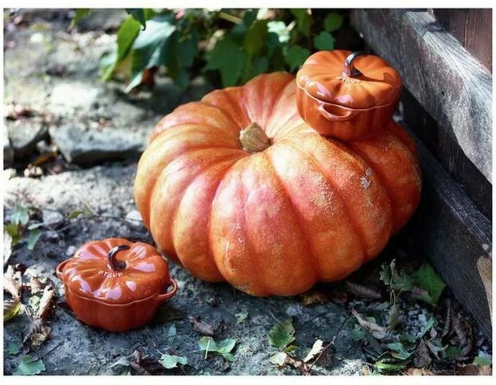 Image du produit Staub Poêle à frire Potiron (12.50 cm, Cocotte + faitout, Fonte)