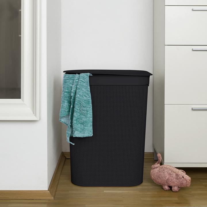 Actual product image Rotho Breezes (50 l)