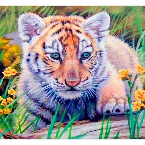 Norimpex 5D-Diamantmosaik - Tiger 40x30cm